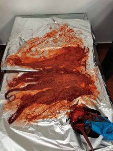 Veresegyház Gödöllő Szada Erdőkertes Őrbottyán Vágás Festés Fonás Hajhosszabbítás Ombre, Balayage, Brazil hajhosszabbítás, hőillesztéses, kerationos hajszerkezetépítés holland fonás hapánt fonás